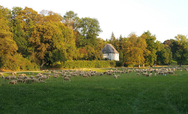 Weimarer Goethepark
